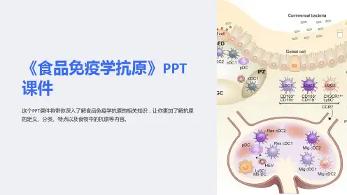 《食品免疫学抗原》课件
