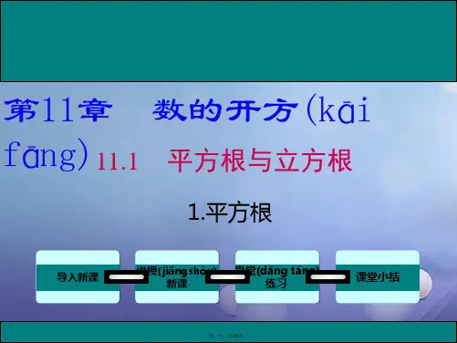 八年级数学上册第11章数的开方11.1.1平方根教学课件新版华东师大版