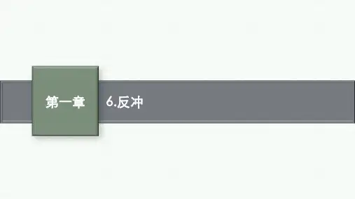 教科版高中物理选择性必修第一册精品课件 第一章 6.反冲