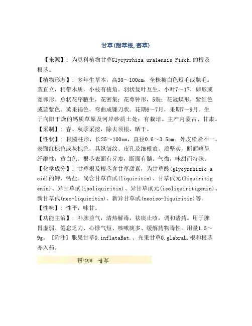 甘草(甜草根,密草)