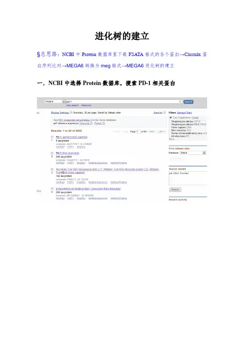 进化树的建立
