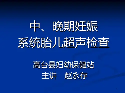 胎儿系统超声检查PPT课件