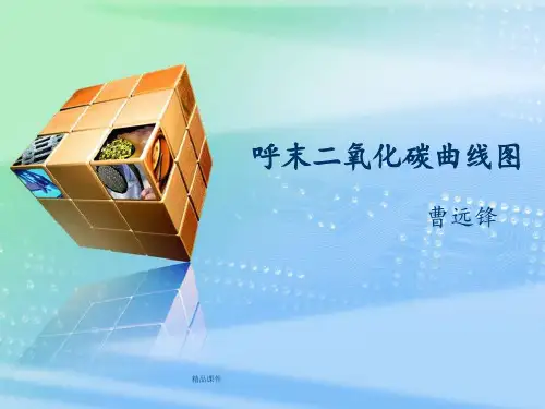 呼末二氧化碳曲线图