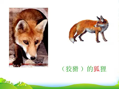 部编版二年级语文上册(课堂教学3)狐假虎威课件