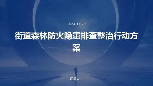 街道森林防火隐患排查整治行动方案