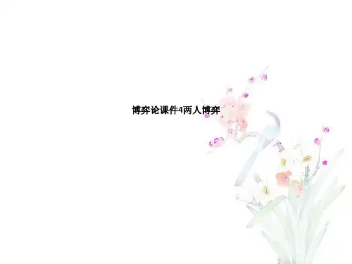博弈论课件4两人博弈