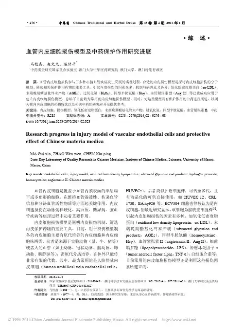 血管内皮细胞损伤模型及中药保护作用研究进展_马桂鑫