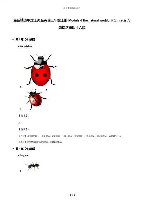 最新精选牛津上海版英语三年级上册Module 4 The natural worldunit 1 Insects习题精选第四十六篇