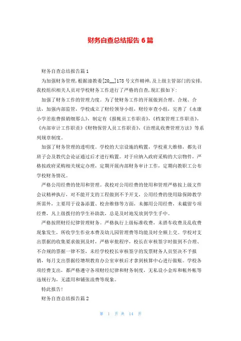 财务自查总结报告6篇