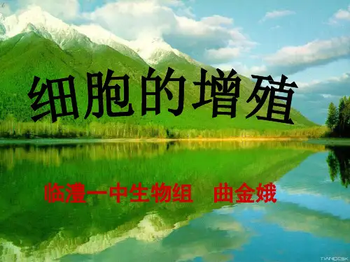 细胞增殖(公开课)PPT精选文档