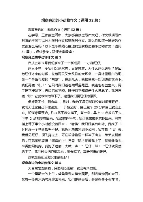观察身边的小动物作文（通用32篇）