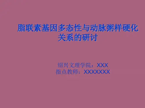 脂联素基因多态性与动脉粥样硬化关系的研究开题报告ppt课件