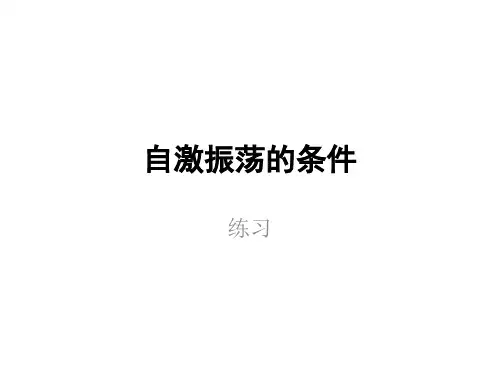 6.2.1自激振荡的判断练习