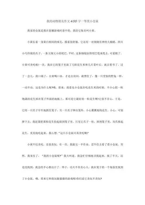 我的动物朋友作文450字一等奖小仓鼠