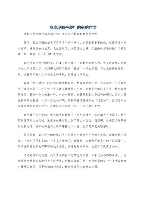 我发现蜗牛爬行的秘的作文