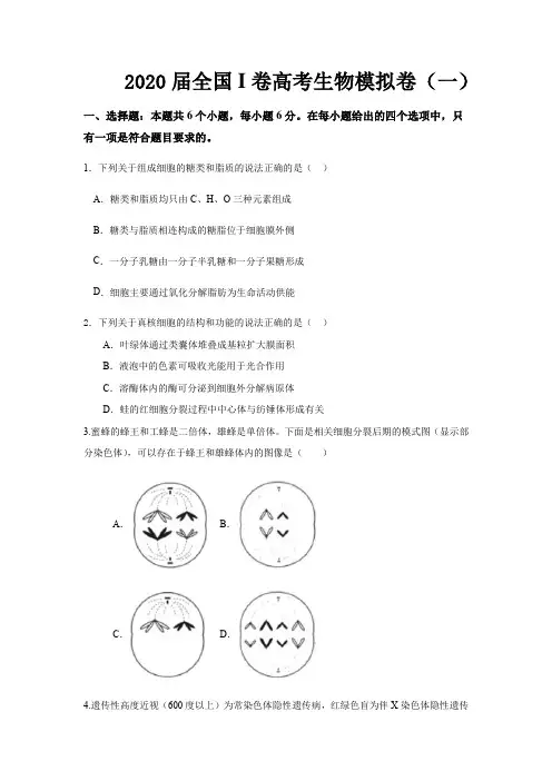 2020届全国I卷高考生物模拟卷(一)带解析
