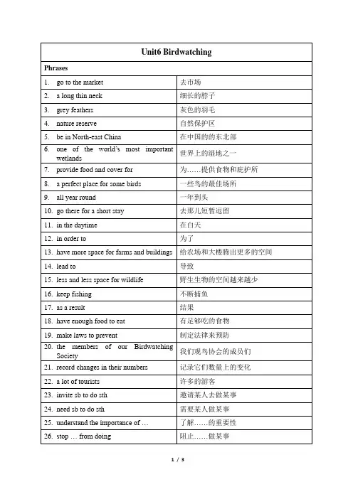 译林版英语八上U6Birdwatching短语和句型答案