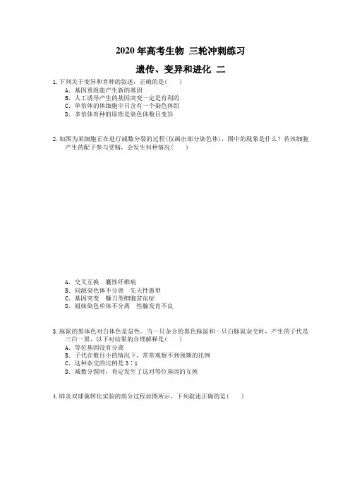 2020年高考生物 三轮冲刺练习 遗传、变异和进化 二(20题含答案解析)