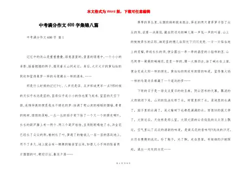 中考满分作文600字集锦八篇