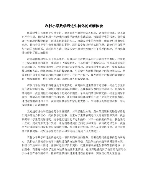 农村小学数学后进生转化的点滴体会