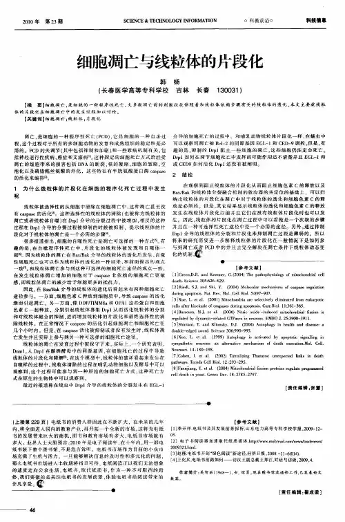 细胞凋亡与线粒体的片段化