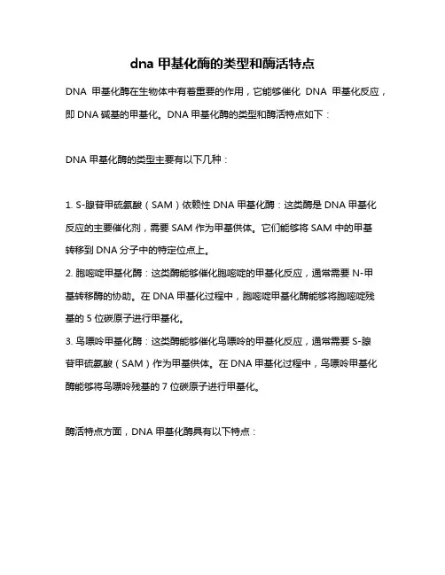 dna甲基化酶的类型和酶活特点