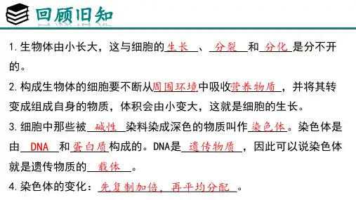 【新课程标准2024】人教版生物七年级上册1.3.2 动物体的结构层次 课件(共27张PPT)