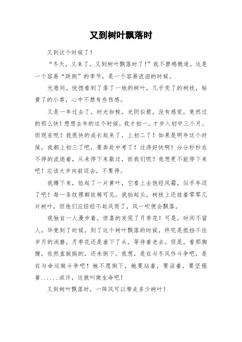 又到树叶飘落时_初中作文