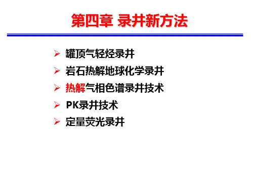 录井新方法