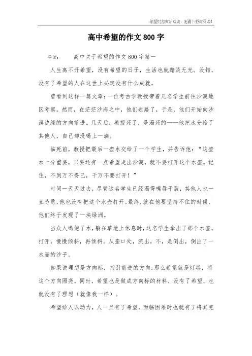 高中希望的作文800字
