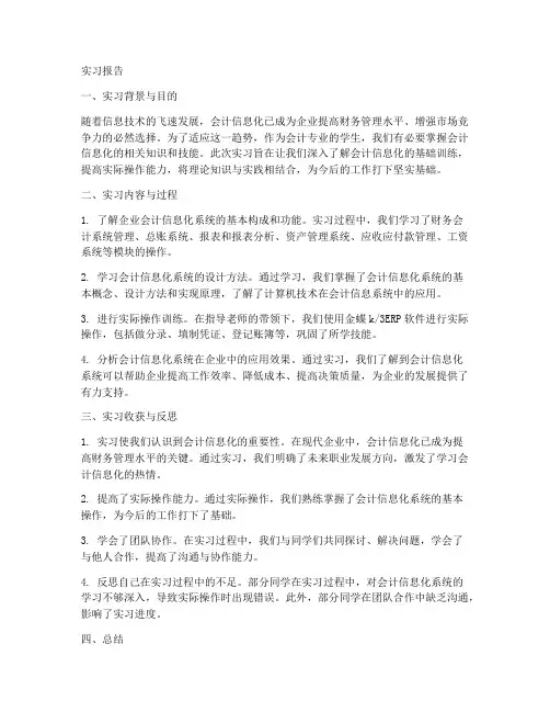 会计信息化基础训练实习报告