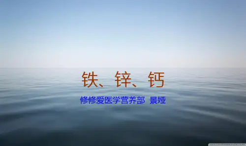 钙铁锌PPT课件
