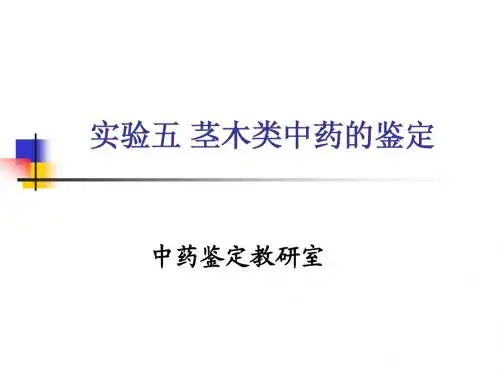 实验五 茎木类中药的鉴定
