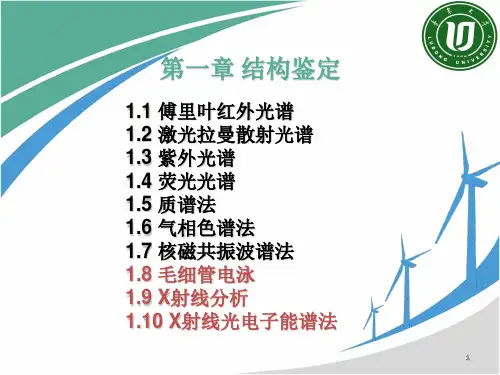 第1章 结构鉴定(4)CE、XA