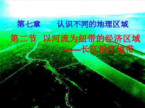 仁爱版(八下)地理长江沿江地带课件完美版
