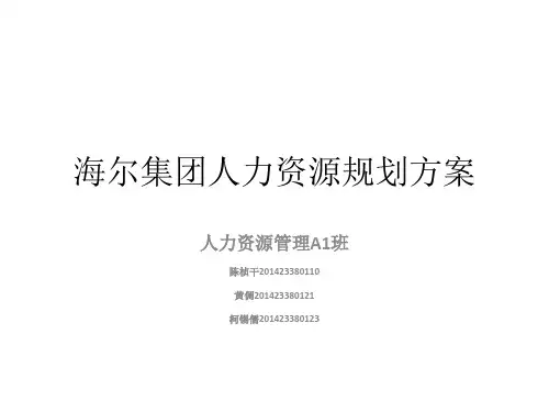 海尔公司人力资源规划方案