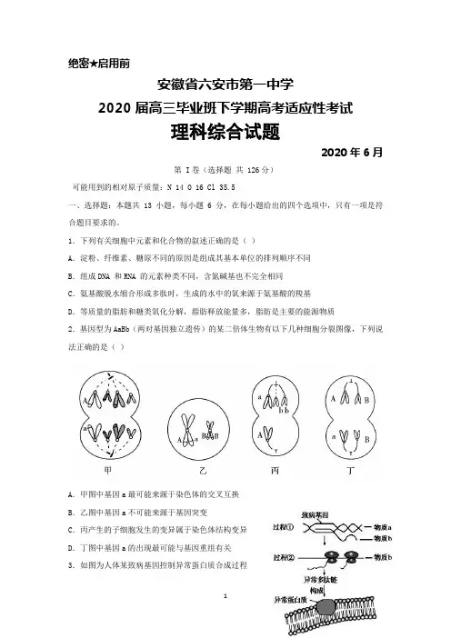 安徽省六安市第一中学2020届高三高考适应性考试理科综合试题