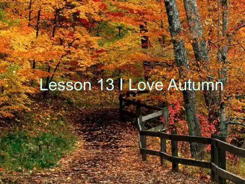 新版冀教版八年级英语上lesson13课件