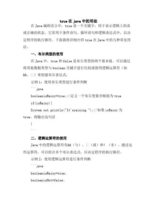 true在java中的用法