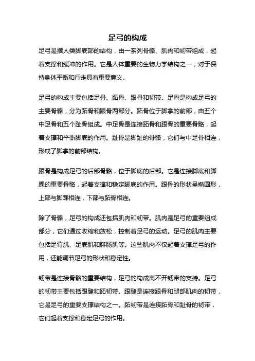 足弓的构成