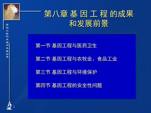 基因工程应用 ppt课件
