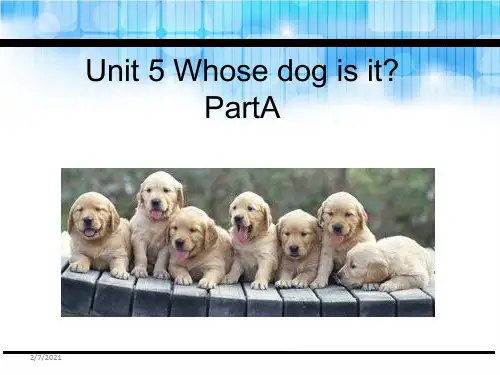 五年级下册英语课件-Unit 5 Whose dog is it A_人教PEP(202X秋) (共
