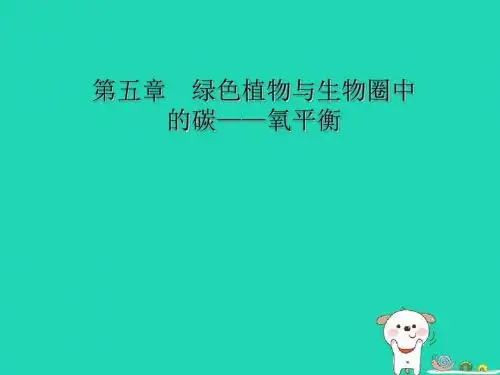 3.5《绿色植物与生物圈中的碳—氧平衡》课件(15张ppt)