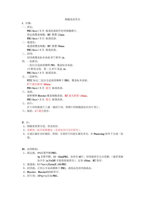 细胞免疫荧光的方法(自己实践记录)