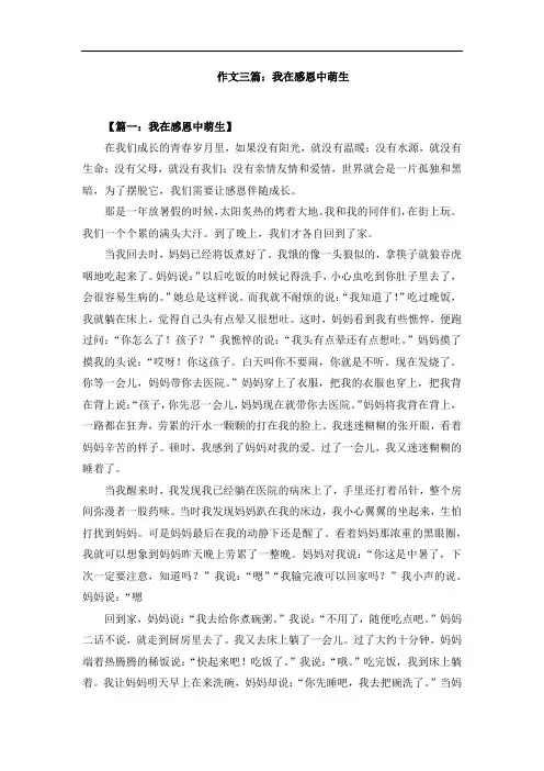 作文三篇：我在感恩中萌生