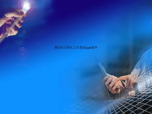Get清风 第1章计算机文化基础ppt课件