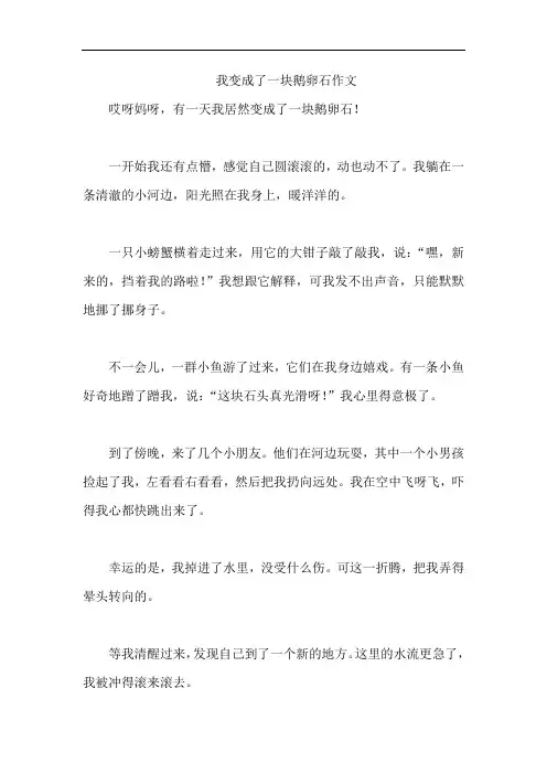 我变成了一块鹅卵石作文