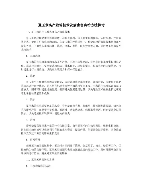 夏玉米高产栽培技术及病虫害防治方法探讨