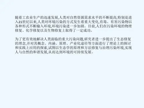 生态修复 PPT