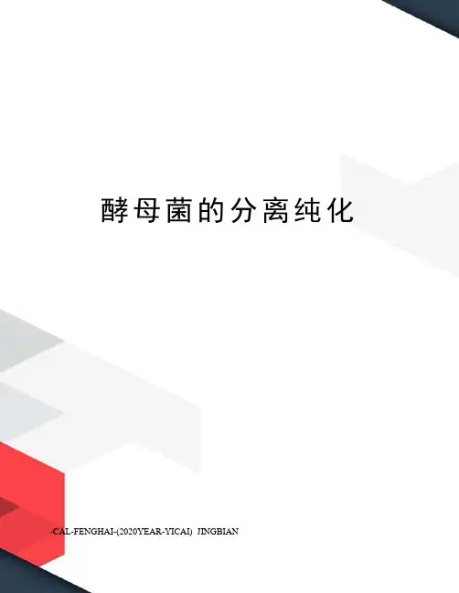 酵母菌的分离纯化